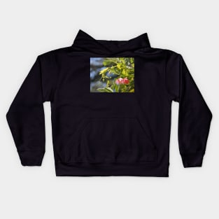 Pink Flowers at Pt Lobos Kids Hoodie